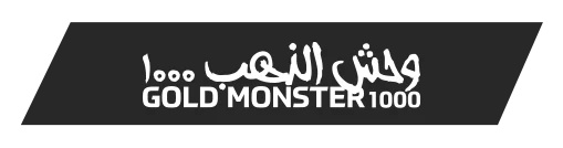 Edirne Minelab Gold Monster 1000 - Gold Monster 1000 küçük altın dedektörü